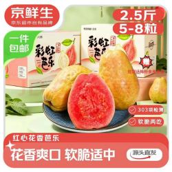 京鲜生 广东红心芭乐净重2.5斤 单果130g+ 软糯脆爽两吃源头直发包邮