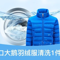 蒙口/大鹅羽绒服精洗 免费取送