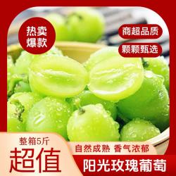 晴王 疆域采虹正宗阳光玫瑰葡萄新鲜水果当季新鲜采摘四川青提晴王葡萄生鲜整箱 2斤精选