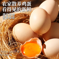 山林新鲜鸡蛋鲜鸡蛋当日现捡生鲜买菜单枚40g左右 当日现捡土鸡蛋10枚