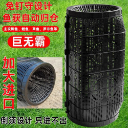捕鱼神器 鱼笼大号 倒须笼鱼网 河鱼虾笼 黄鳝神器 泥鳅笼