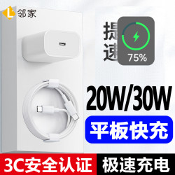 邻家 适用苹果ipadpro充电器线平板air6/5/4双type-c数据线mini6快充头