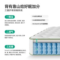 乳胶床垫独立弹簧静音抗干扰护脊透气双人家用席梦思厚 L1