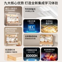大满贯 儿童可升降学习桌小学生专用书桌护眼灯一体套装 杉语lite