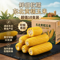 王老宝 黄糯玉米260-300克/10根