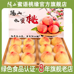 阳山 水蜜桃 单果200-250g 12个 礼盒装