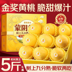 山姆大叔 山东蒙阴黄桃 S+级 单果100-150g 净重4.5斤