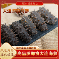 颐口福 大连鲜活即食海参鲍汁海参葱烧海参佛跳墙礼盒源头直发 1000g即食海参（30-40只/斤） 海鲜大礼包（海参大礼包）