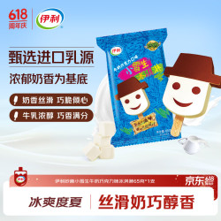 伊利 妙趣小雪生牛奶巧克力口味冰淇淋 65g*1支