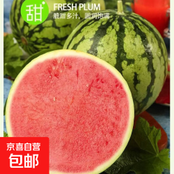 麒麟 安徽 现摘西瓜 带箱5-6斤