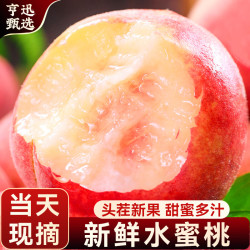 亨迅 水蜜桃 红不软毛桃 净重4.5斤