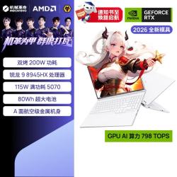 机械革命 蛟龙16Pro RTX 5070 300Hz高刷 16GB+1TB 白色 16英寸笔记本电脑