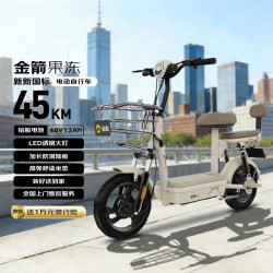 金箭 长续航 电动自行车 铅酸电池 棕色