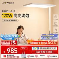 童视界 普瑞红光护眼大路灯 全光谱 120W 落地台灯