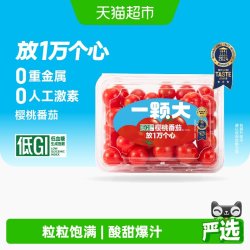 一颗大 樱桃番茄精品粒装小西红柿酸甜爆汁基地直发