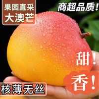 京觅 澳芒苹果芒 8斤 400g/单果 新鲜水果