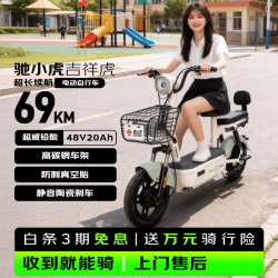 驰小虎 长续航 电动自行车  浅绿 20Ah 48V