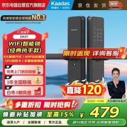 凯迪仕 DK 01 指纹密码智能门锁