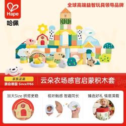 Hape 感官启蒙 儿童积木桶