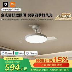 米家 9290041667 风扇灯 95W 白色 42英寸