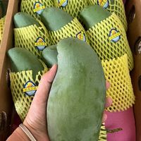 栀舒 广西 桂七芒 4.5斤装 特大果 单果250克+