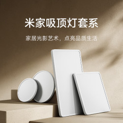 米家 吸顶灯 L90 智能控制 长方形现代客厅灯 小爱智能语音 115W