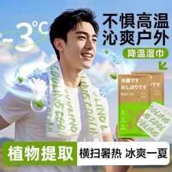 万宝绿 降温清爽冰巾湿巾 凉感持续200分钟 6包