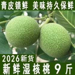 炸街果 2026新鲜核桃带青皮湿核桃去绿皮生核桃薄皮孕妇专用嫩黑桃新货批