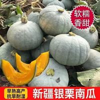 百亿补贴：粮甜佰顷 新疆银栗南瓜粉 5斤/9斤