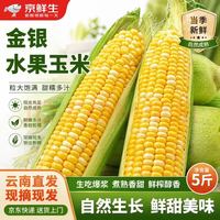 京鲜生 鲜甜 水果玉米  云南新鲜水果玉米5斤