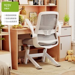 习格 X19y 人体工学电脑椅 923Y优雅灰