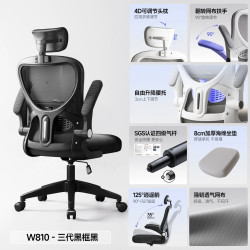 颐熙 W810逍遥款 人体工学电脑椅 纯黑色 尼龙脚