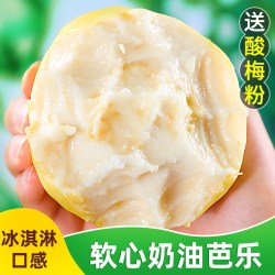 甘福园 福建 白心芭乐 5斤