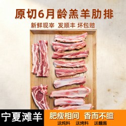 默三天 宁夏滩羊羊排