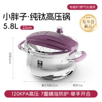 移动端、88VIP：康巴赫 KBT-Z22L 纯钛压力锅 22cm 罗兰紫