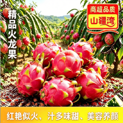 山疆湾 广西 红心火龙果 5斤