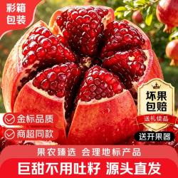 勿语 四川大凉山会理突尼斯软籽石榴特大果礼盒 产地直发新鲜红石榴 3斤精品中果3-6两