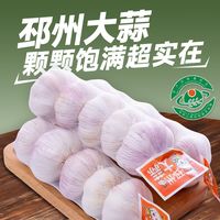 晨识 邳州大蒜 5.0-5.5cm 特级干大蒜