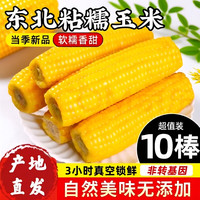 无品牌 中国大陆 黄糯玉米 240g 真空包装