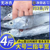 鲜起源 浙江舟山雷达网带鱼 4斤12-14条 冷冻