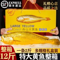 移动端：特大号黄花鱼深海新鲜冷冻官方旗舰店冰鲜生鲜宁德整箱礼盒装
