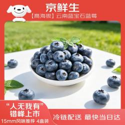 京鲜生 云南蓝莓 巨无霸22mm+ 4盒礼盒装 约125g/盒 新鲜水果礼盒