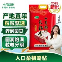十月稻田 长粒香大米 5斤 2025年新米 2.5kg