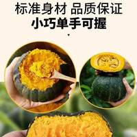移动端：无品牌 中国大陆 贝贝南瓜 2.25kg