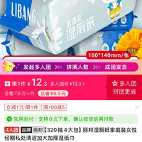 丽邦 12.3湿厕纸医护级