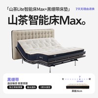 菠萝斑马 0号智能床零号电动悬浮重力黑绷带山茶