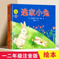 《小金鱼逃走了》（精装）