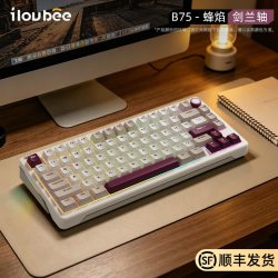 ilovbee 热插拔 机械键盘  黄轴 蜂羽 RGB