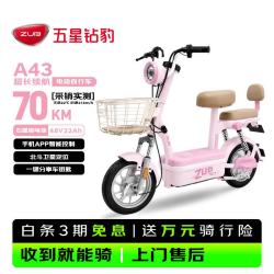 五星钻豹 长续航 电动自行车 软糖粉