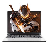 七彩虹 隐星P16 Pro i5-14450HX RTX5050独显直连 笔记本电脑